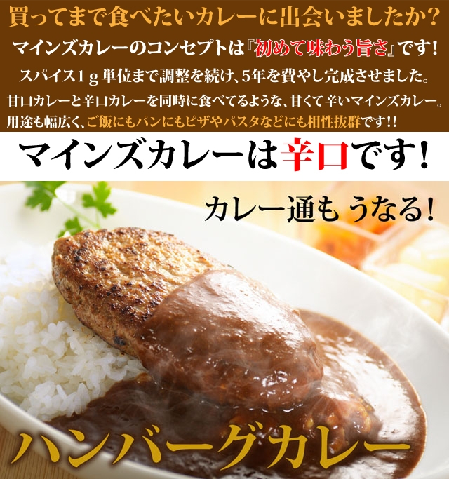 ハンバーグカレー