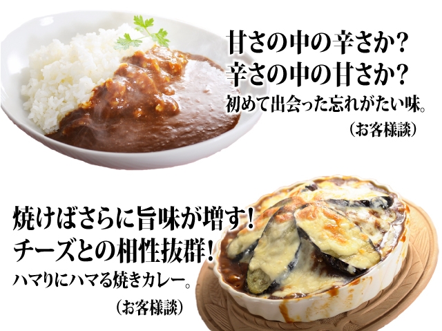 カレー通販マインズのマインズカレー